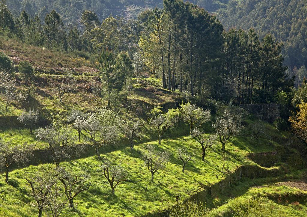 12 Meses Naturalmente Cerdeira ภายนอก รูปภาพ